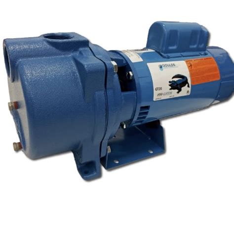 2hp centrifugal pumps|goulds sprinkler pump 2 HP.